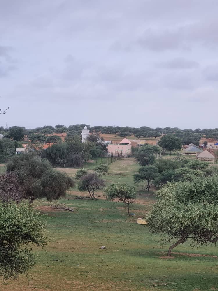 سكان القرية الحسنية يطالبون بحماية مراعيهم من تمدد المشاريع الزراعية